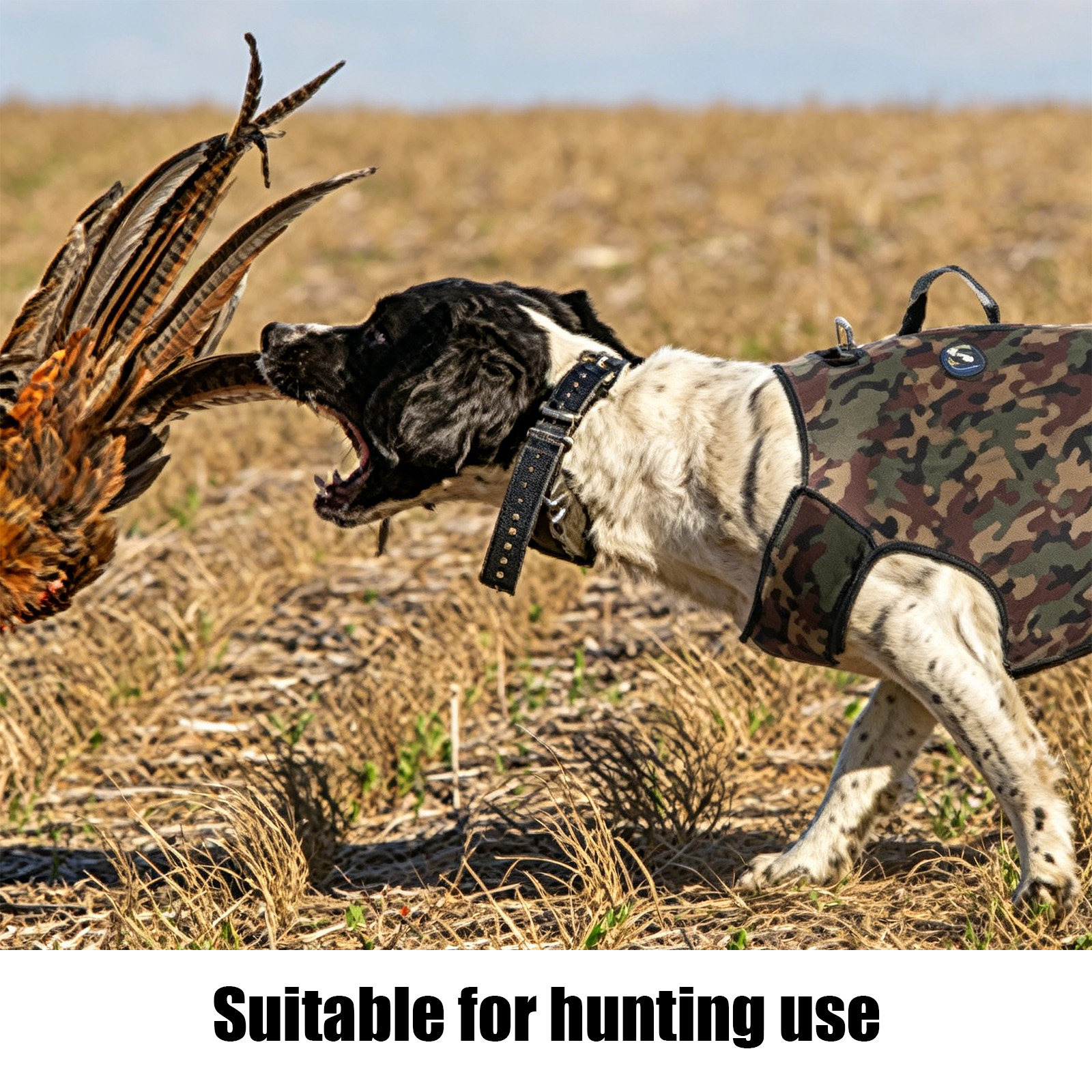 Camouflage Hunting Dog Clothes - Hunting Dog Outdoor 评论和价格