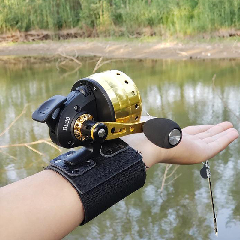 Closed Reel BL30 Fishing 4+1BB - Outdoor Hunting Equipment 评论和价格