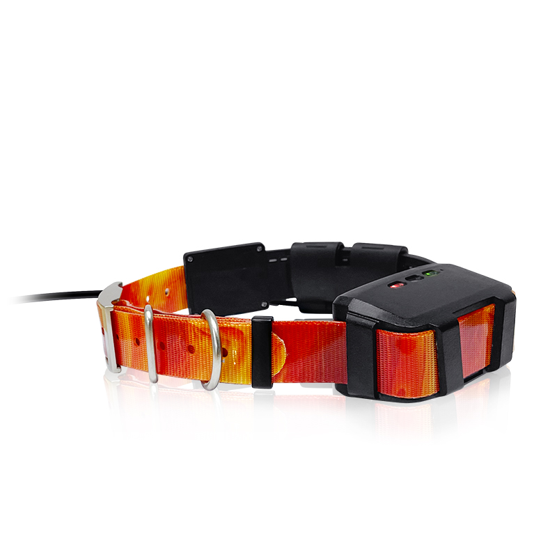 2023 Trending Product Outdoor  - Hunting Dog Outdoor 评论和价格