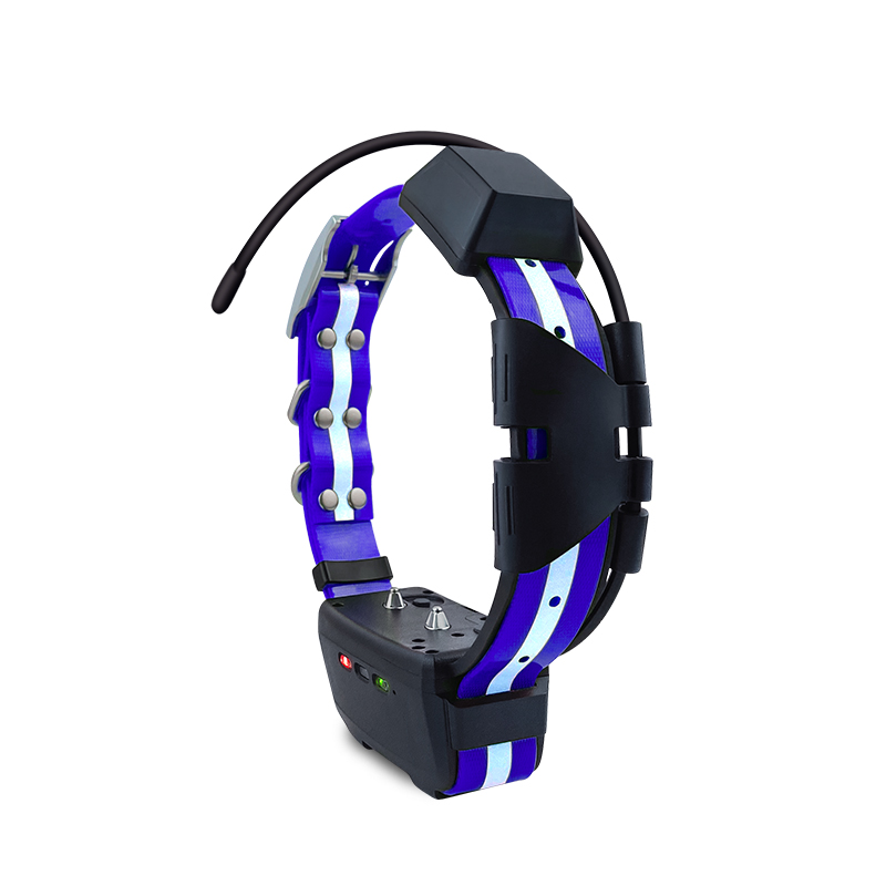 2023 Trending Product Outdoor  - Hunting Dog Outdoor 评论和价格