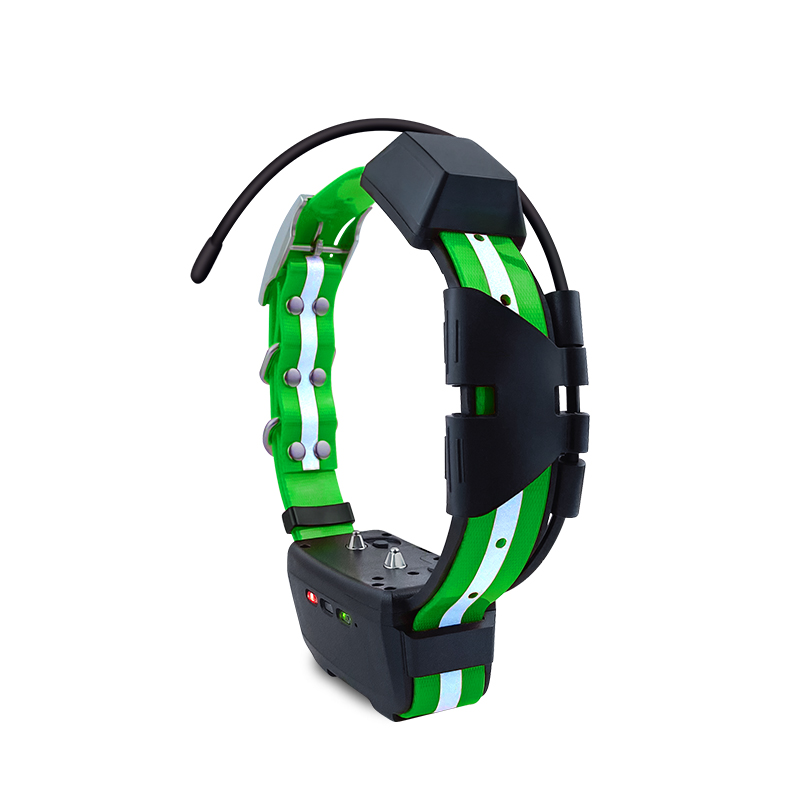 2023 Trending Product Outdoor  - Hunting Dog Outdoor 评论和价格