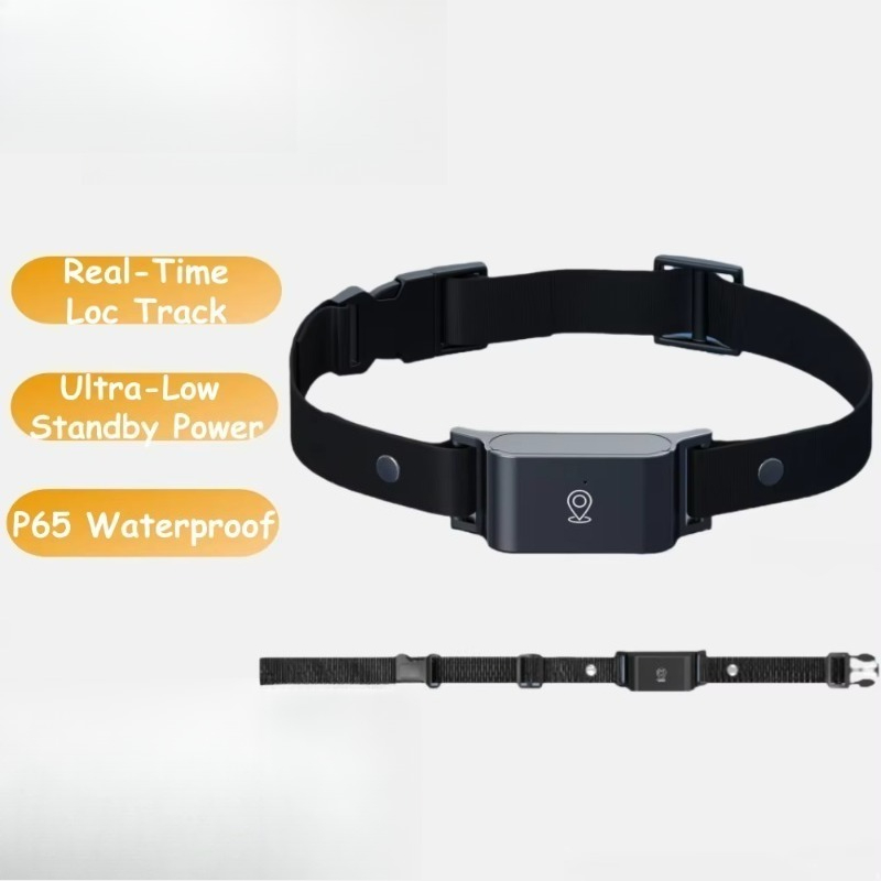 Dog GPS Tracker Outdoor Campin - Hunting Dog Outdoor 评论和价格