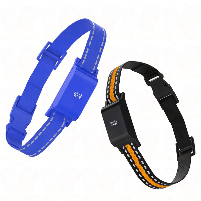 Dog GPS Tracker Outdoor Campin - Hunting Dog Outdoor 评论和价格