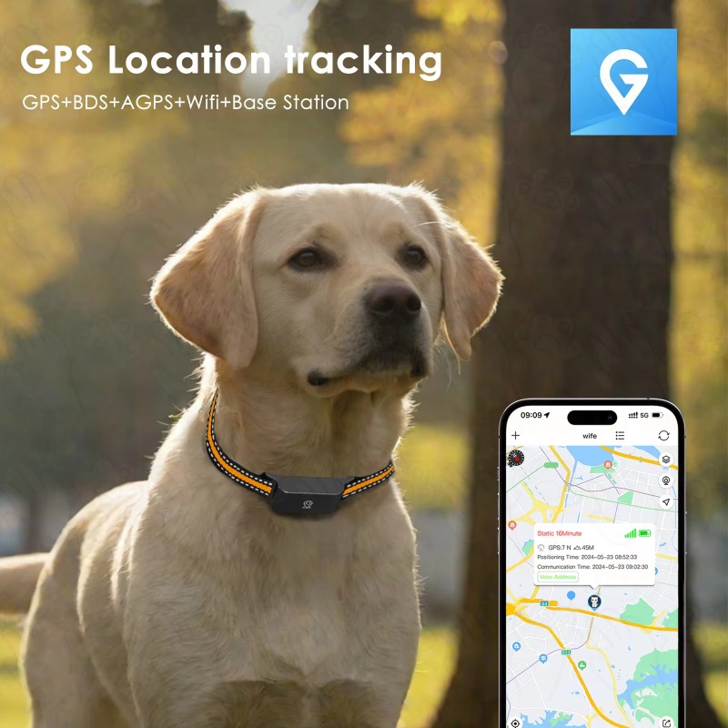Dog GPS Tracker Outdoor Campin - Hunting Dog Outdoor 评论和价格