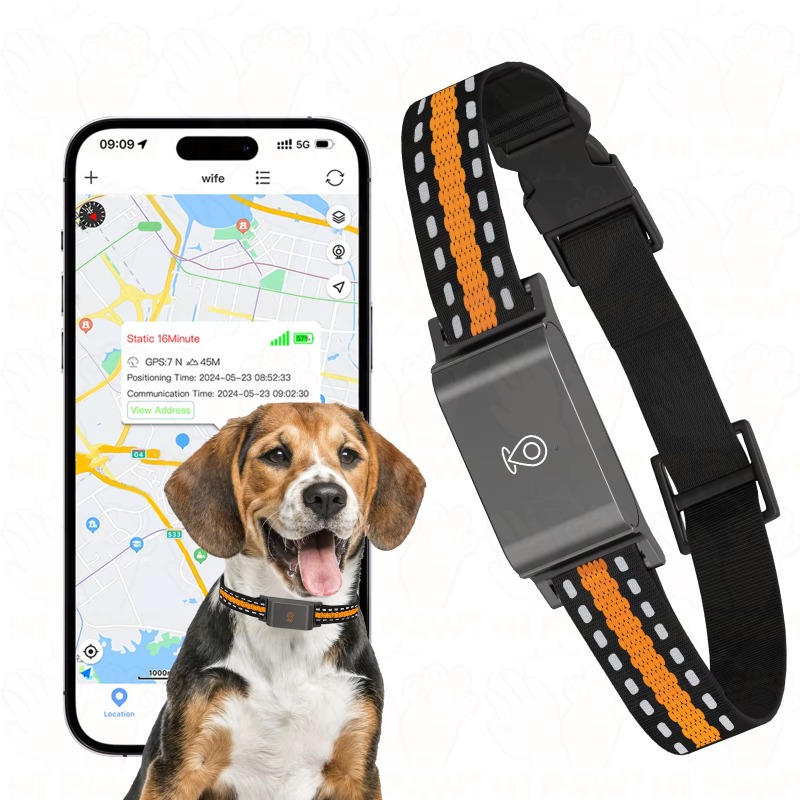 Dog GPS Tracker Outdoor Campin - Hunting Dog Outdoor 评论和价格